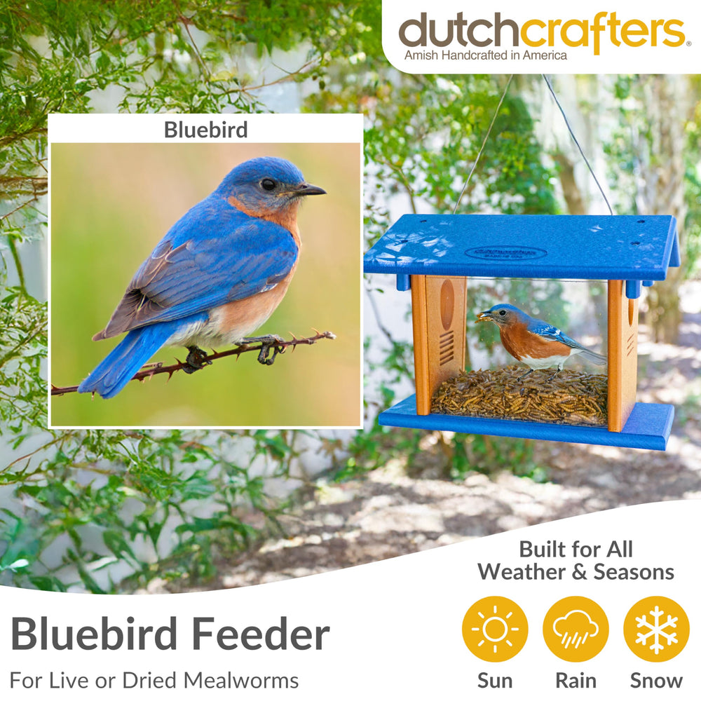 DutchCrafters 1.5 inch entrance hole sized for bluebirds access