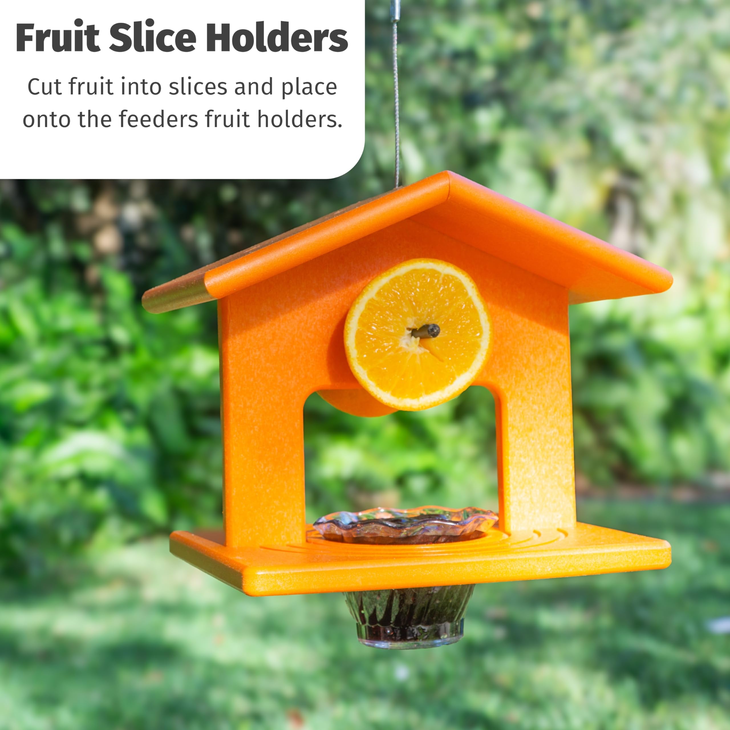 DutchCrafters feeder hanging in garden inviting orioles to feed