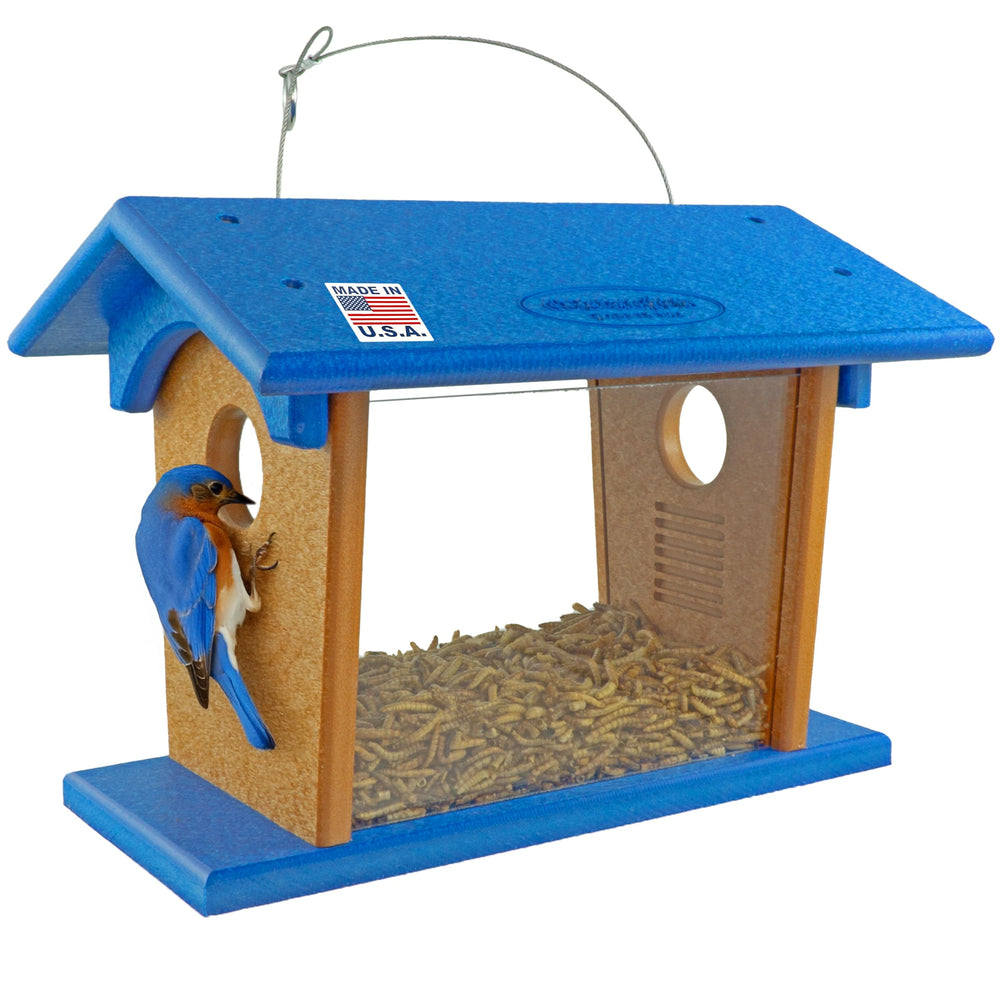 DutchCrafters front view of cedar and blue feeder attracting bluebirds