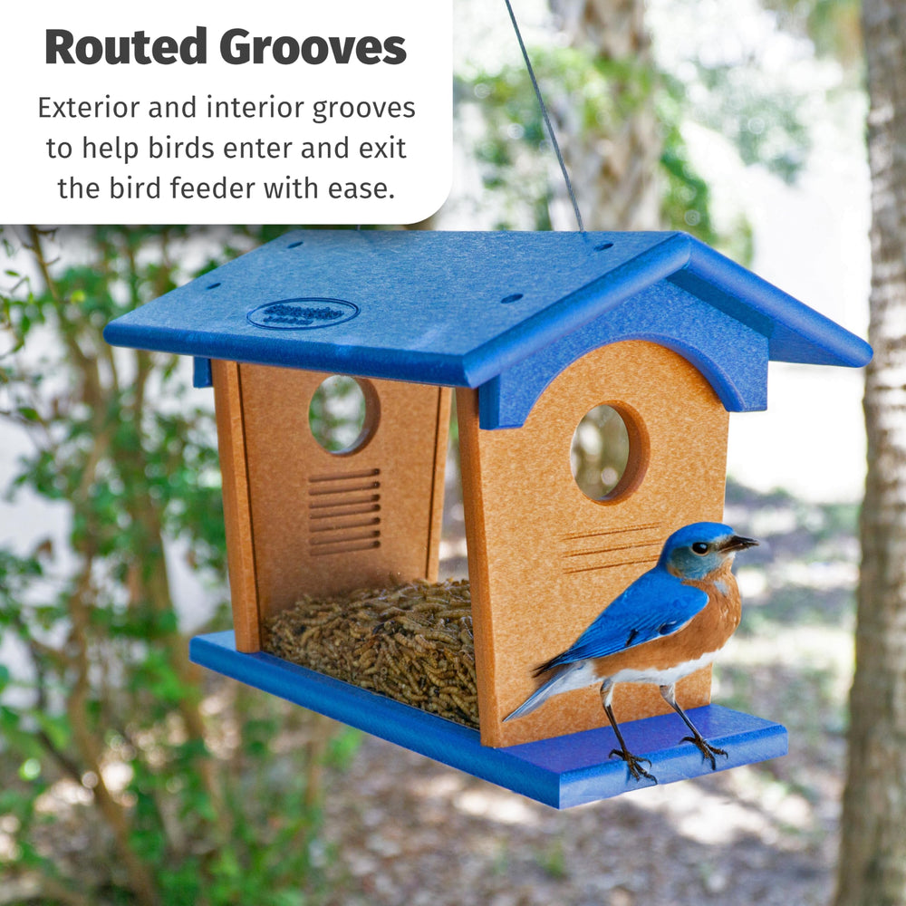 DutchCrafters feeder hanging in yard inviting bluebirds to feed