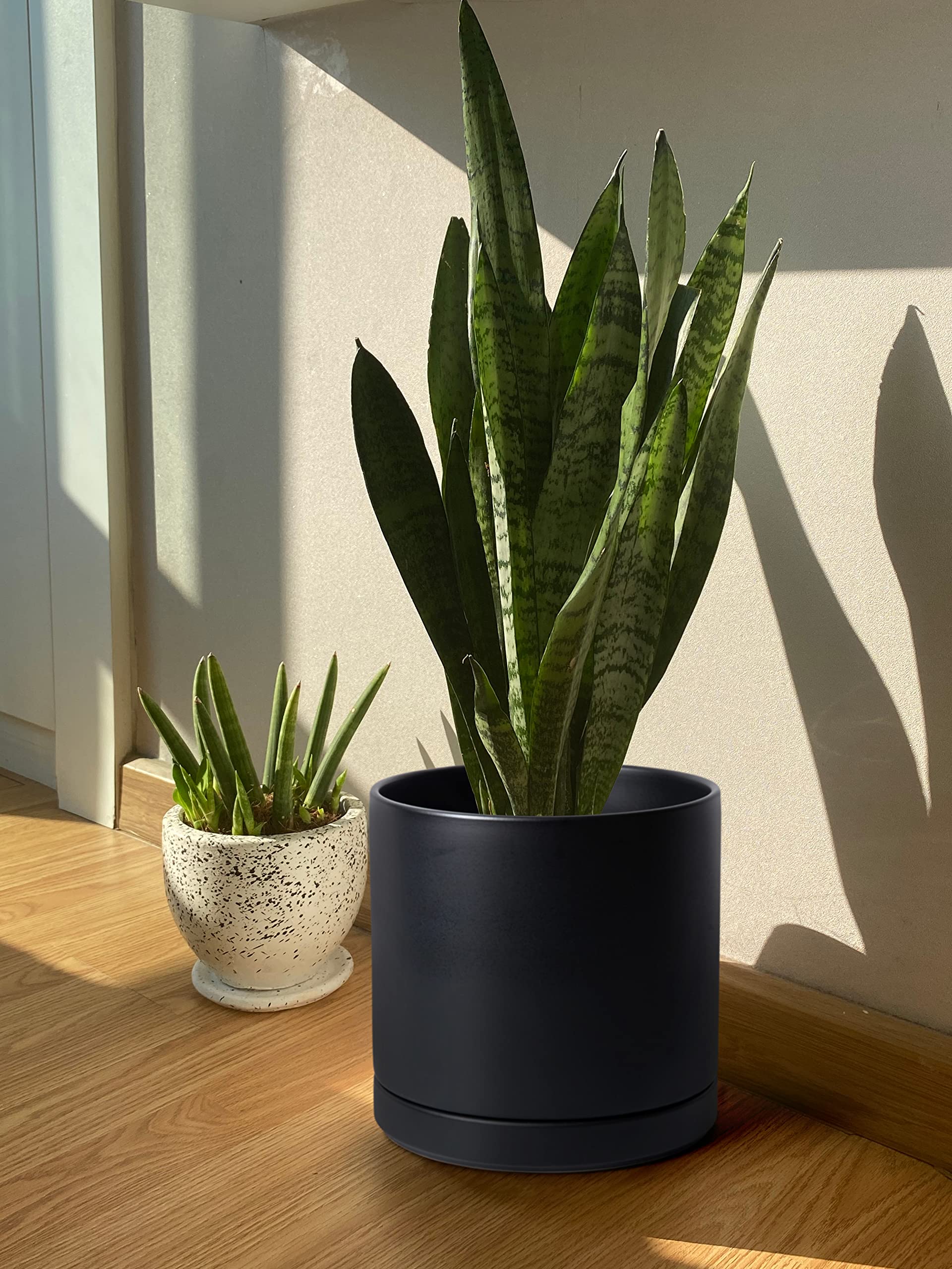 D'vine Dev planter in living room setting styled to show decor versatility and scale