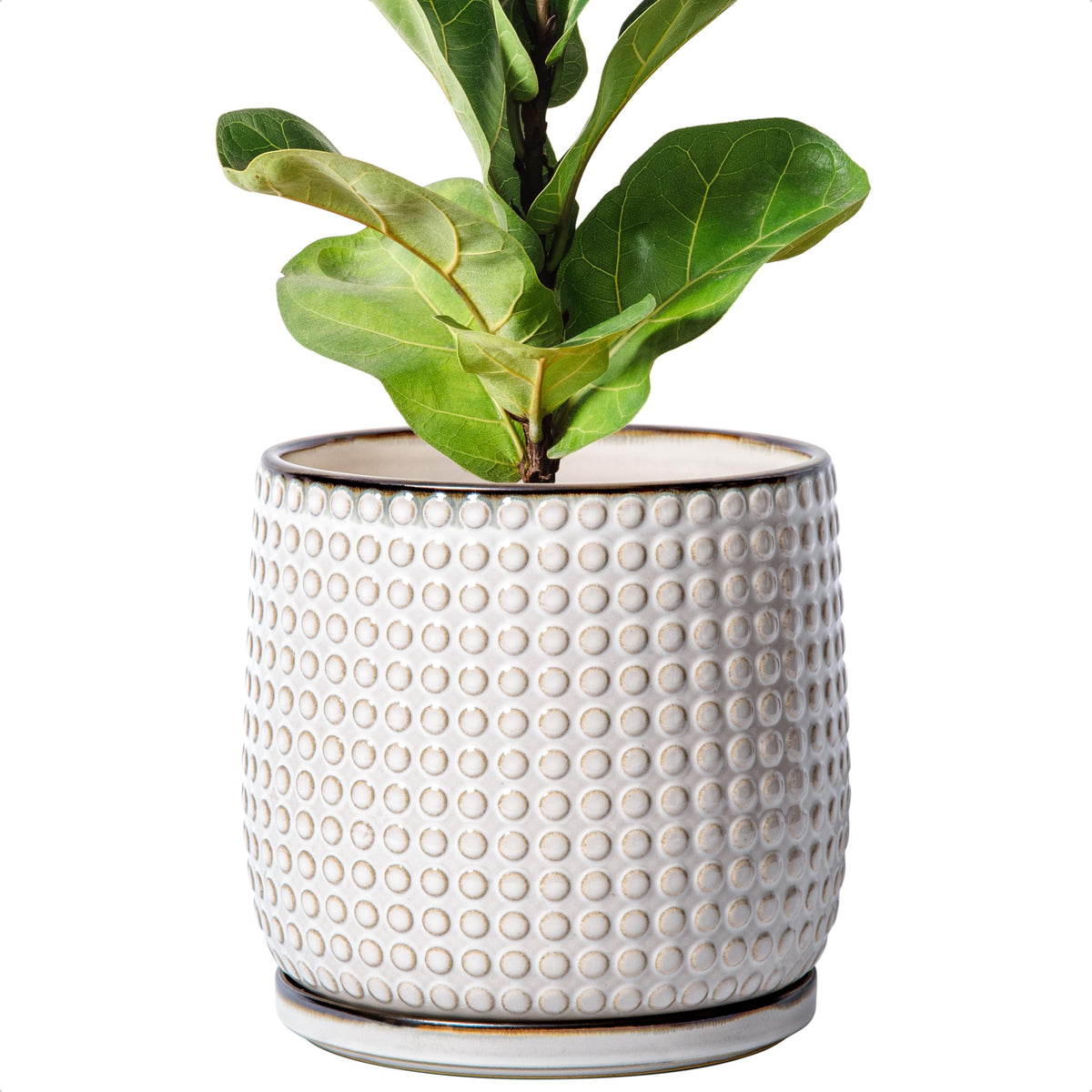 D'vine Dev front view of beaded ceramic pot showcasing elegant design and balance