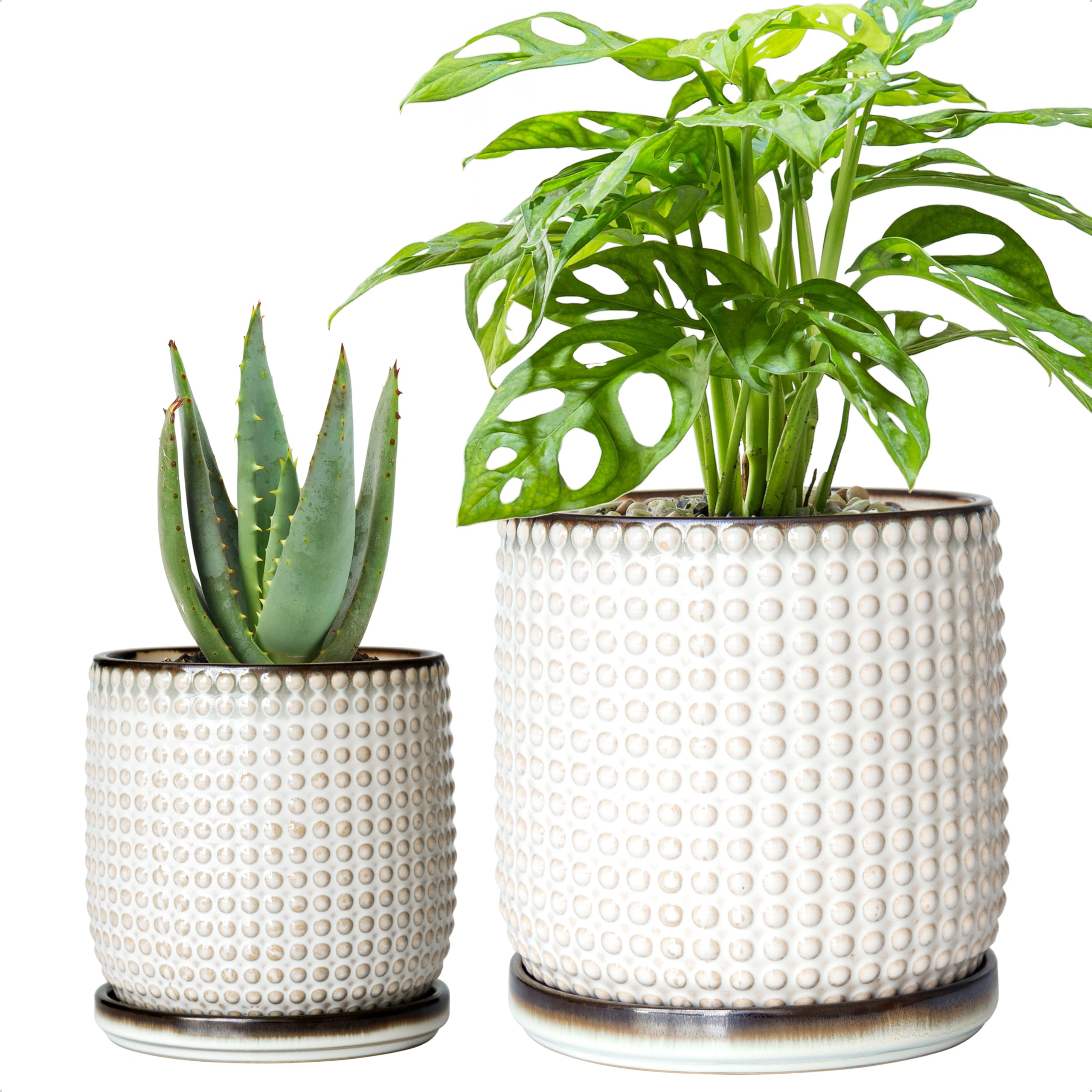 D'vine Dev front view of smoked-white beaded planter highlighting modern design and elegance