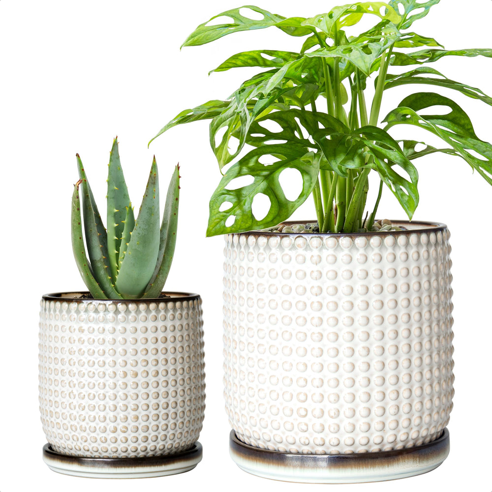 D'vine Dev front view of smoked-white beaded planter highlighting modern design and elegance