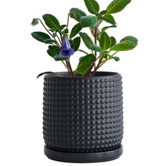 D'vine Dev beaded ceramic pot front view showing ebony matte finish and elegant shape