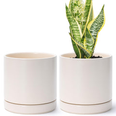 D'vine Dev front view of two oatmeal ceramic pots showing clean modern design and pairing benefit