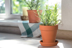 D'vine Dev close-up of matte terracotta texture highlighting breathable clay finish and durability