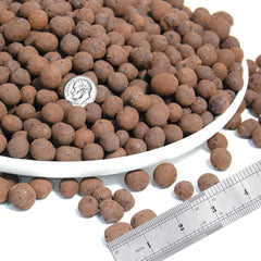 D'vine Dev close-up of porous clay pebble texture for better aeration