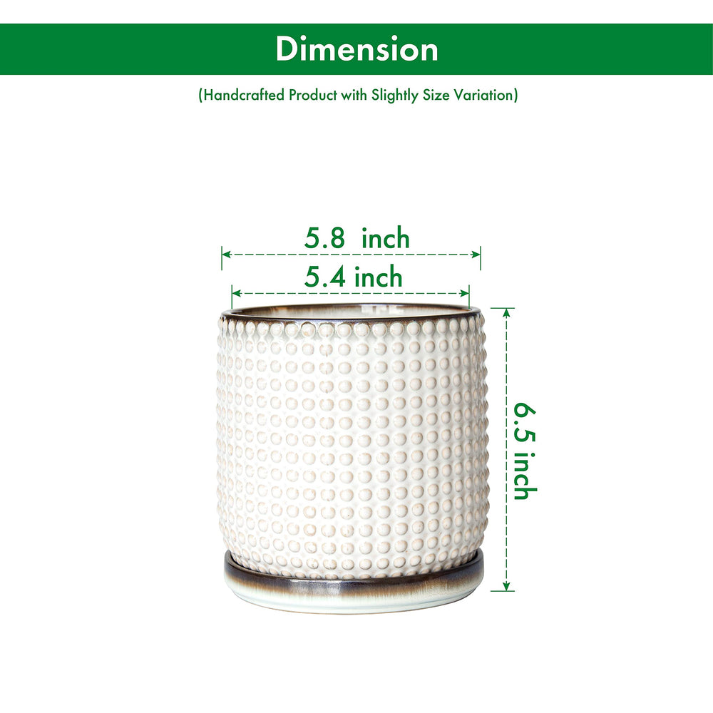 D'vine Dev close-up of beaded rim texture adding visual interest and tactile benefit