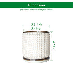 D'vine Dev close-up of beaded rim texture adding visual interest and tactile benefit