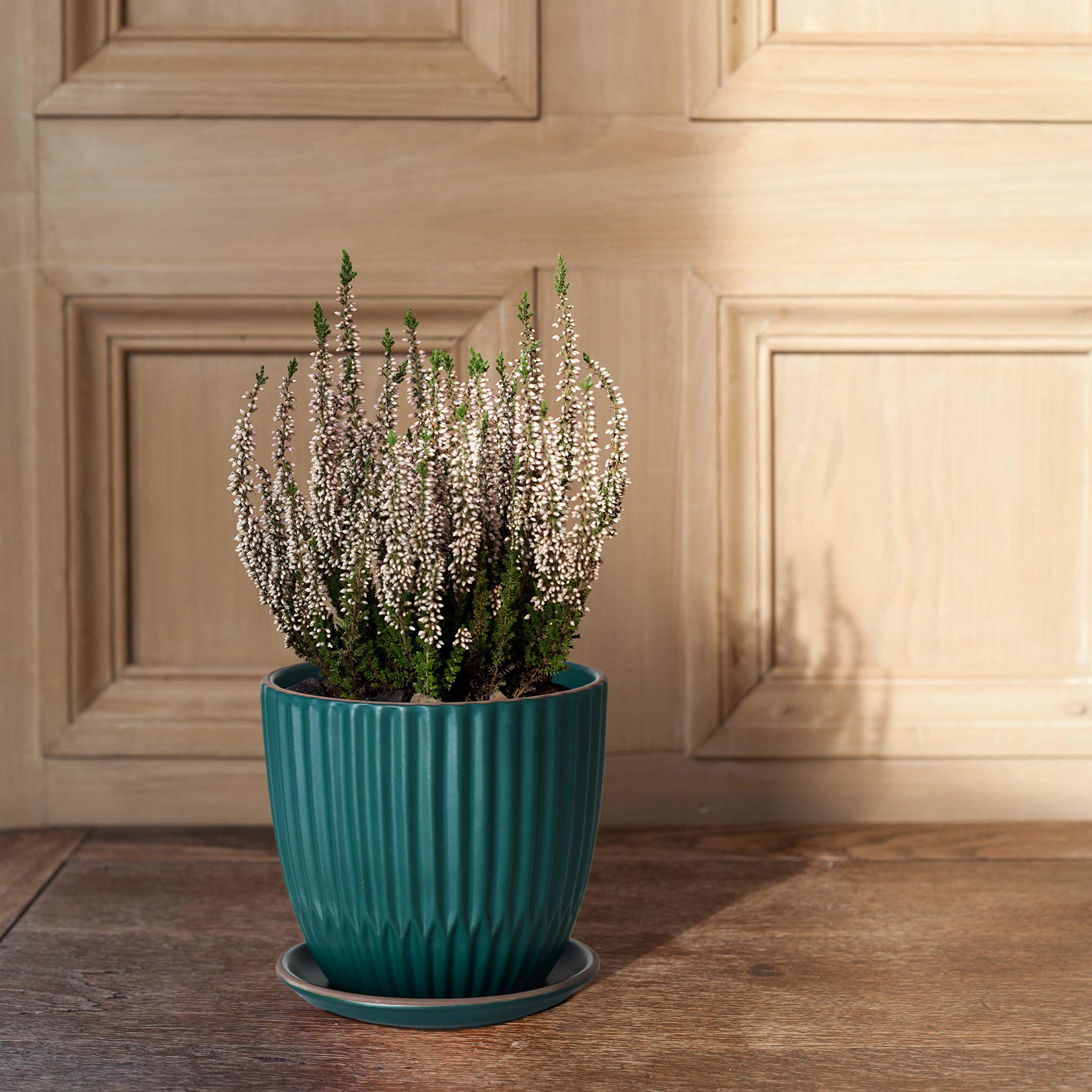D'vine Dev close-up of ribbed ceramic texture highlighting stylish tactile detail
