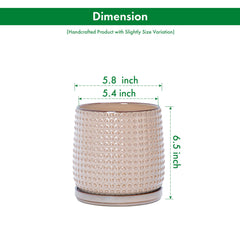 D'vine Dev detachable saucer detail showing snug fit and easy cleanup benefit