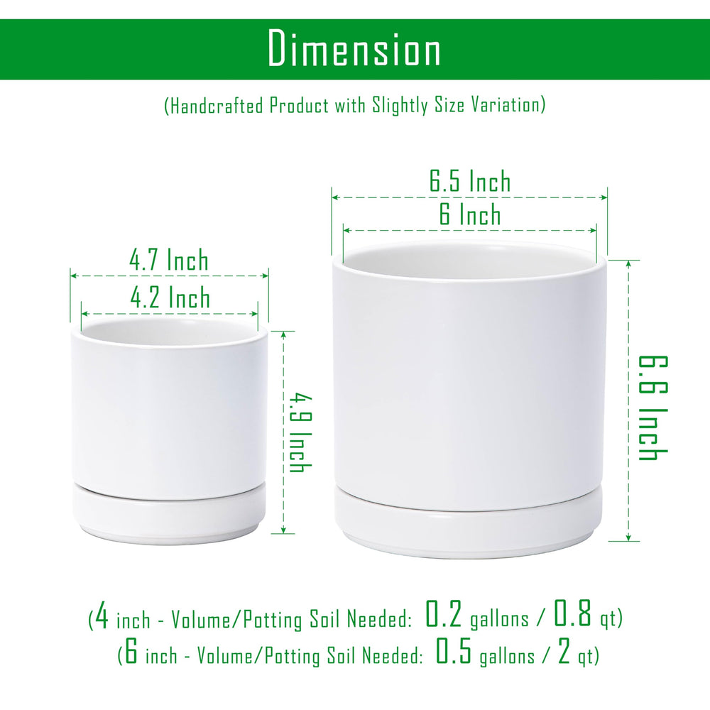 D'vine Dev drainage hole with matching ceramic saucer protecting furniture