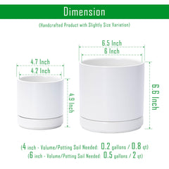 D'vine Dev drainage hole with matching ceramic saucer protecting furniture