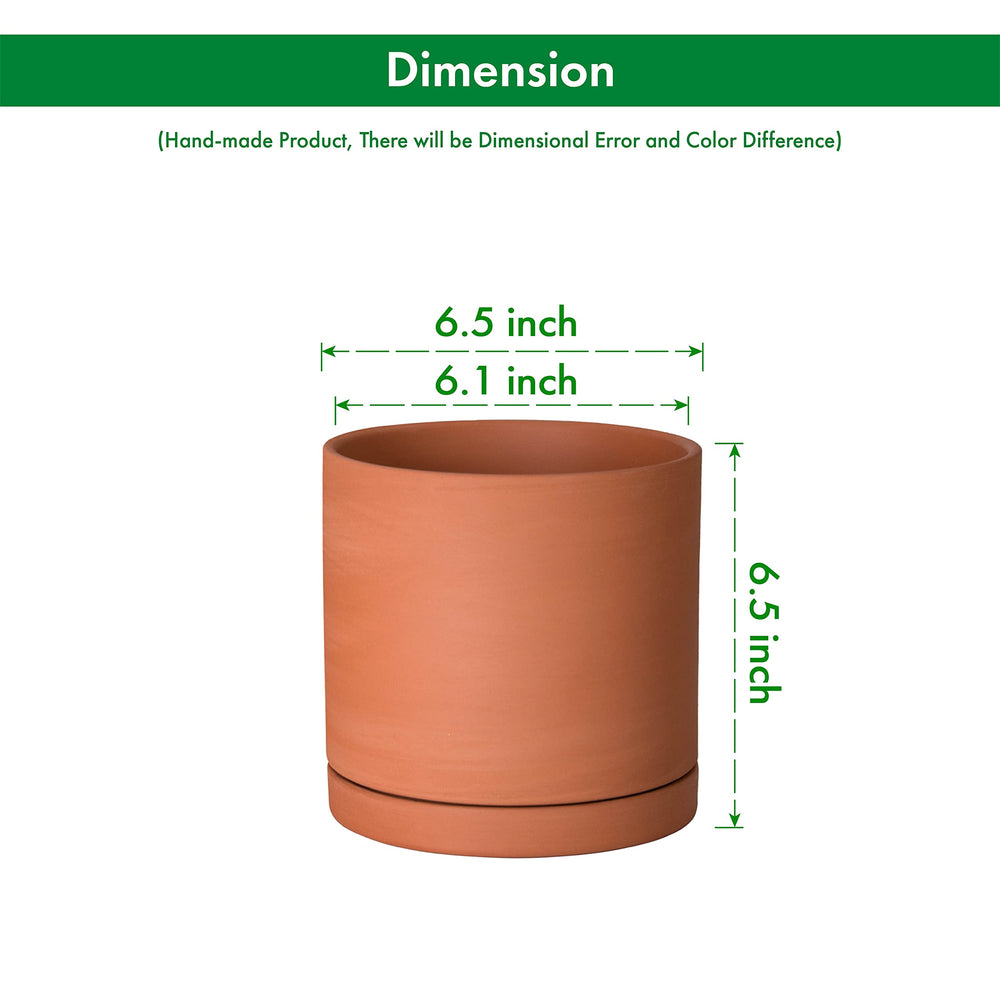 D'vine Dev detailed shot of drainage hole illustrating improved water flow and plant health