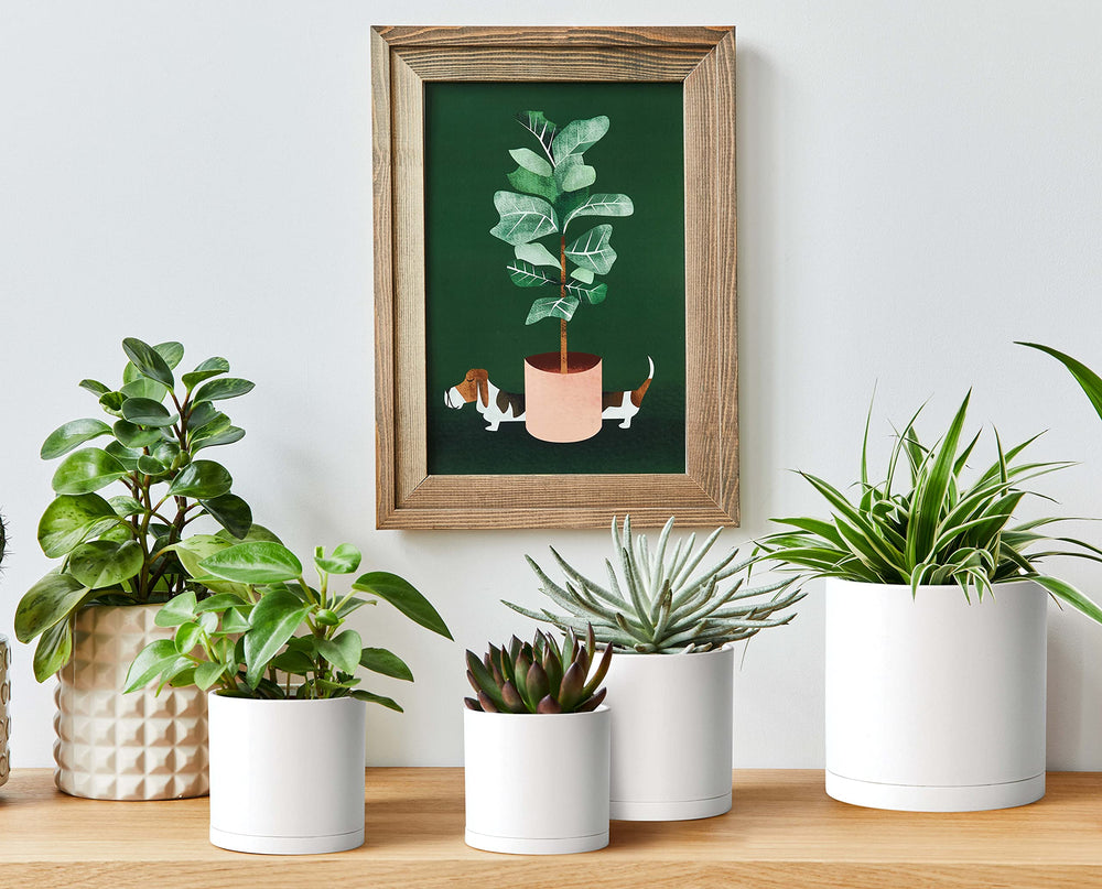 D'vine Dev image showing drainage hole bottom and benefit of reliable water escape