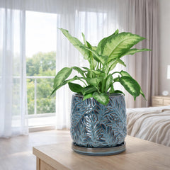 D'vine Dev close-up of embossed leaf texture highlighting ceramic finish benefit: tactile visual interest