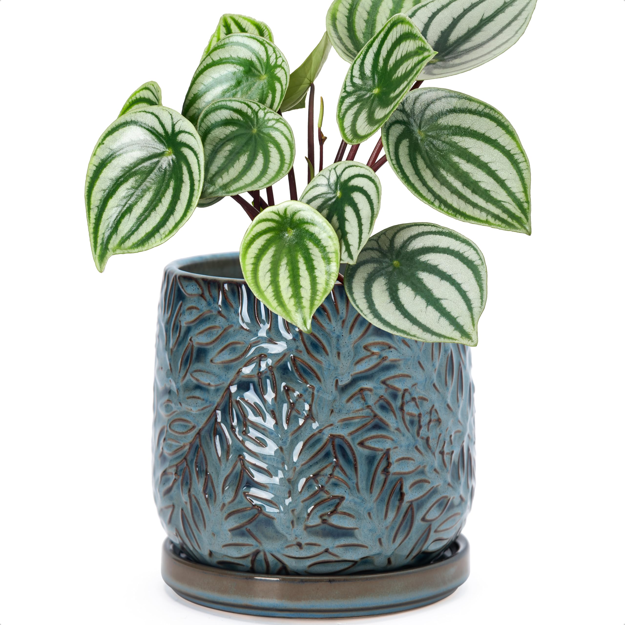 D'vine Dev front view of ocean teal planter showing embossed leaves and shape benefit: decorative focal point