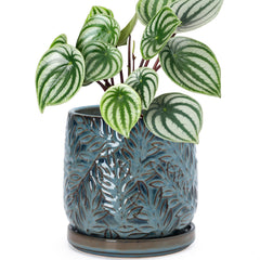 D'vine Dev front view of ocean teal planter showing embossed leaves and shape benefit: decorative focal point