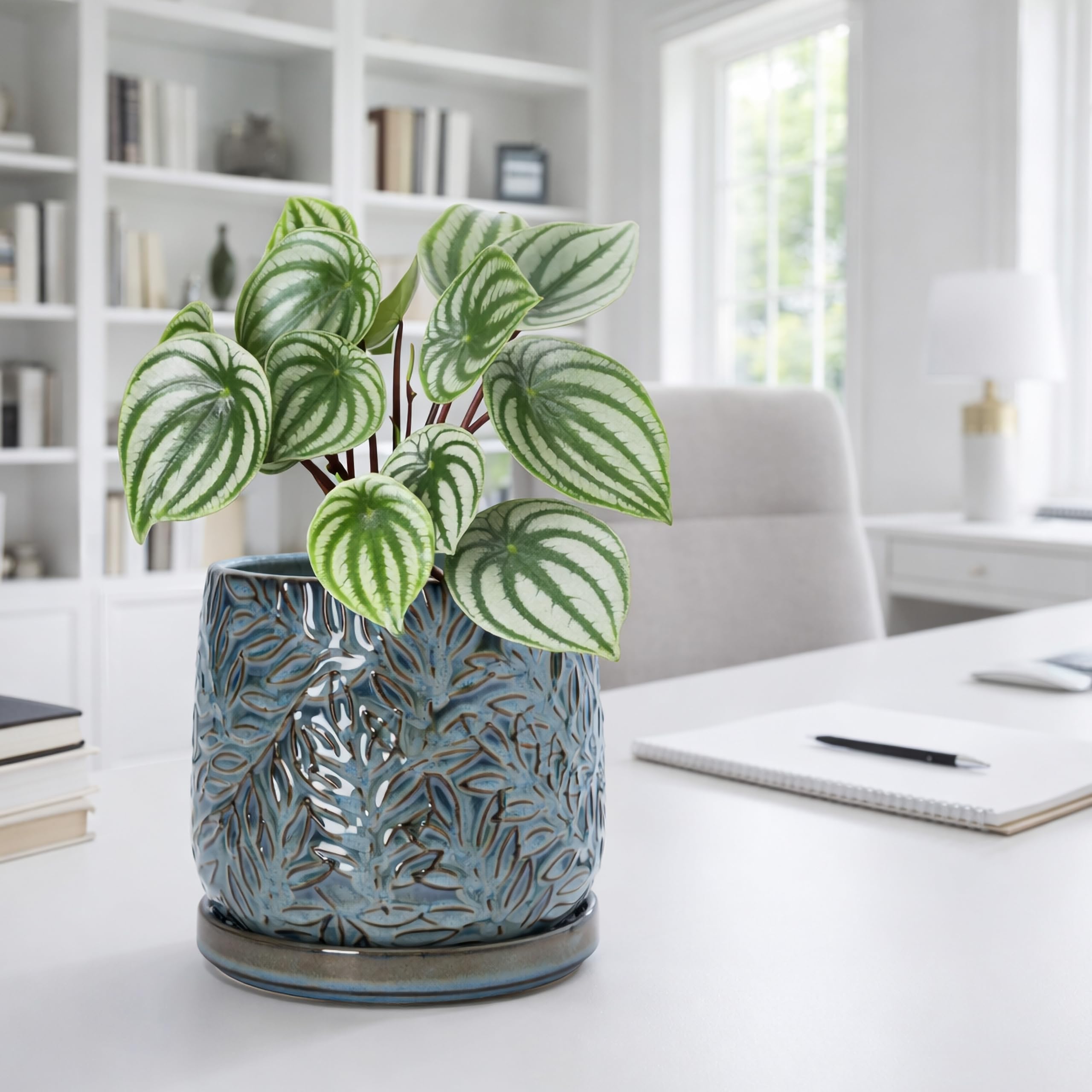 D'vine Dev planter on a styled shelf in a living room benefit: elevates interior decor