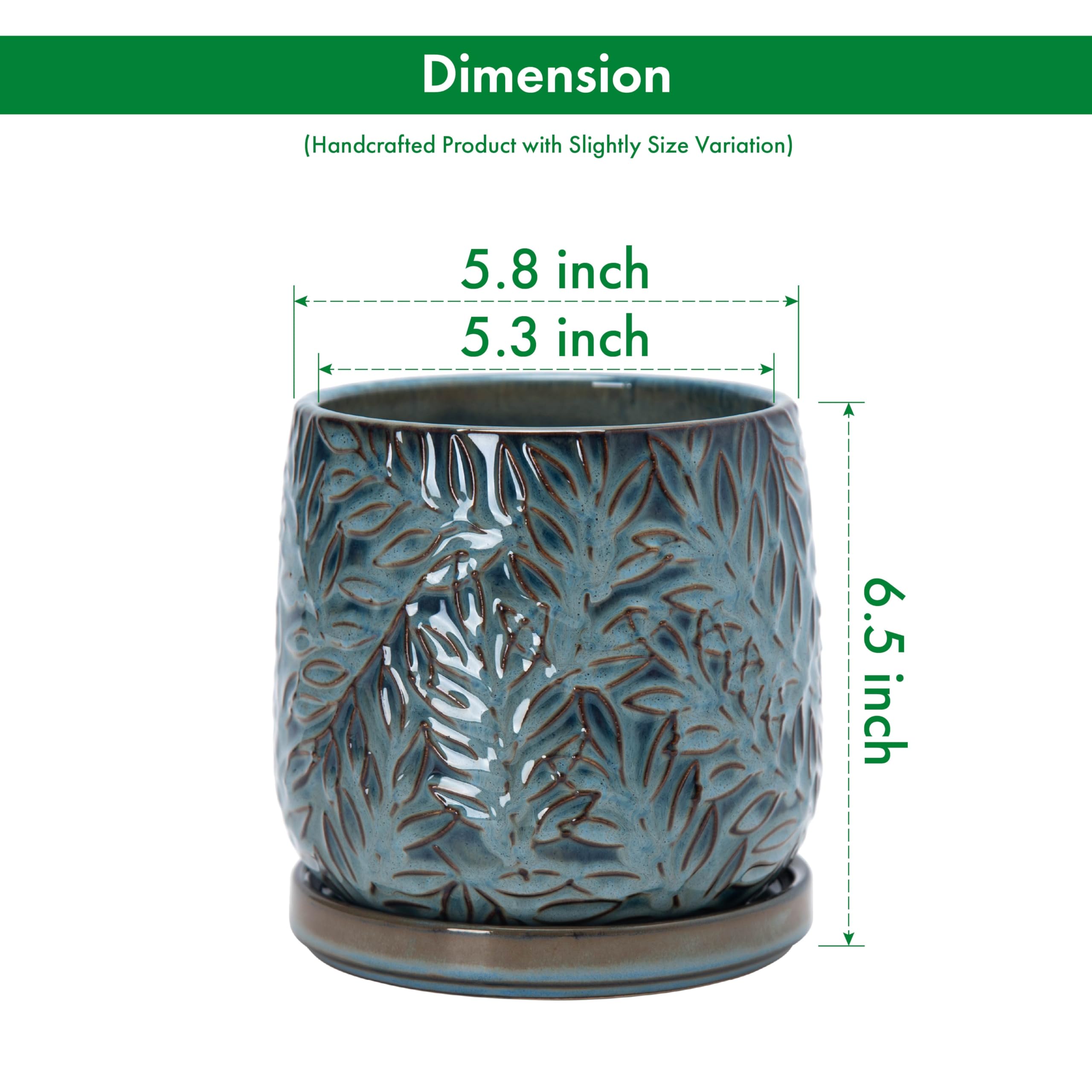 D'vine Dev planter with plant in it showing healthy display benefit: ready-made styling