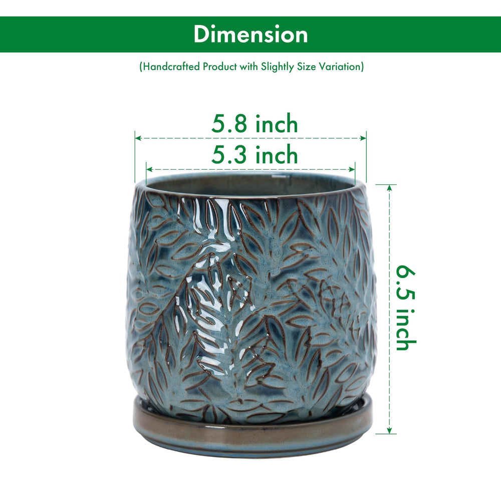 D'vine Dev planter with plant in it showing healthy display benefit: ready-made styling