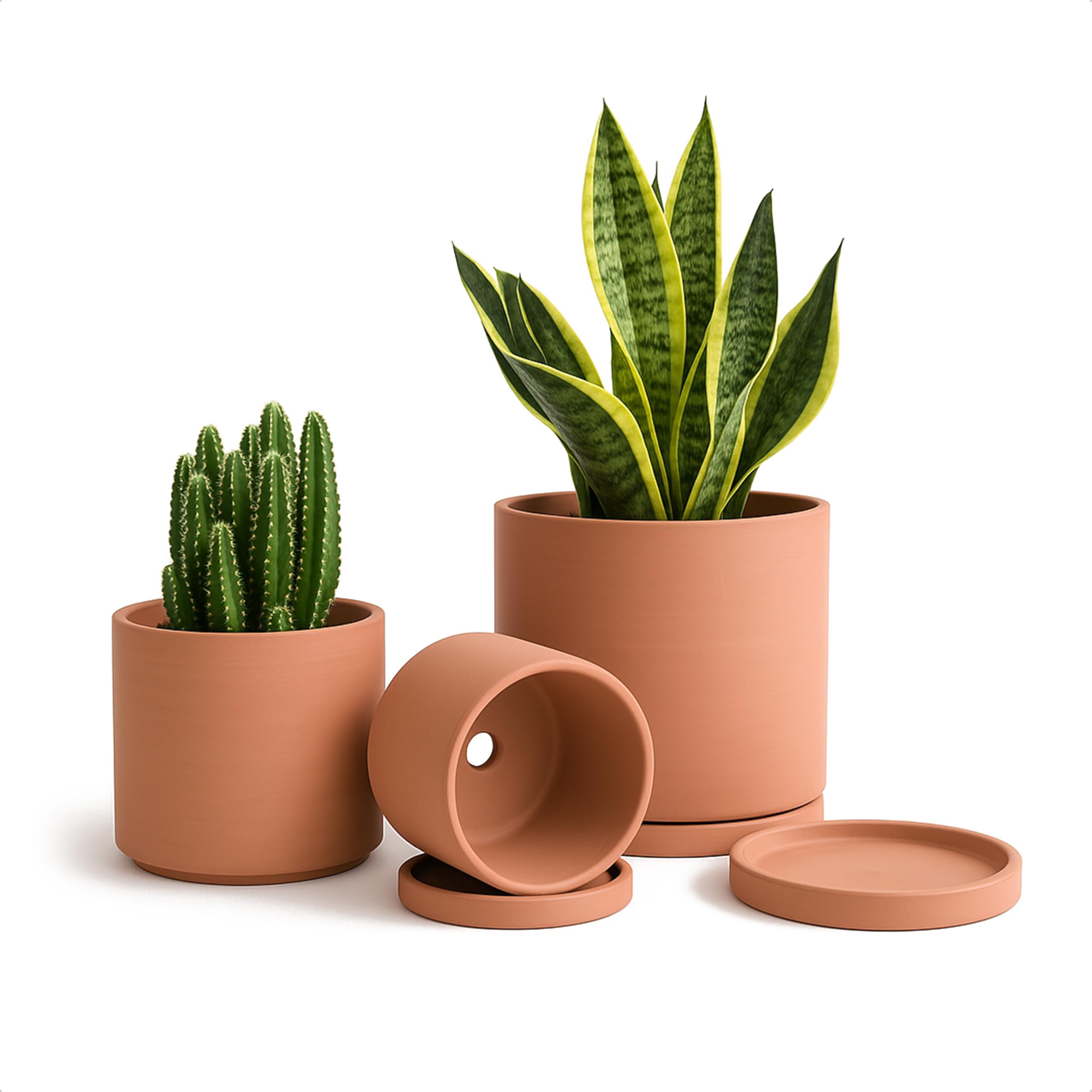 D'vine Dev front view of three terracotta pots with saucers, elegant display benefit
