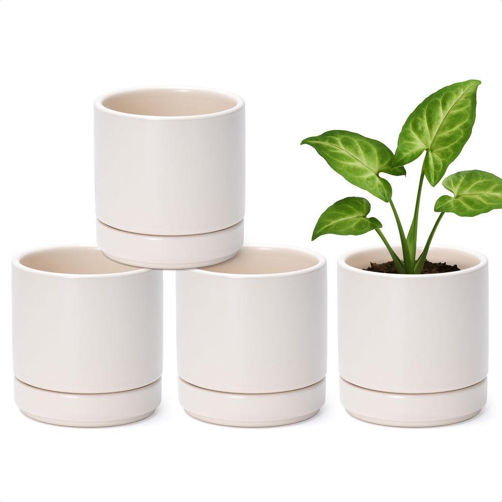D'vine Dev front view of four oatmeal ceramic pots showing modern set and neat saucers