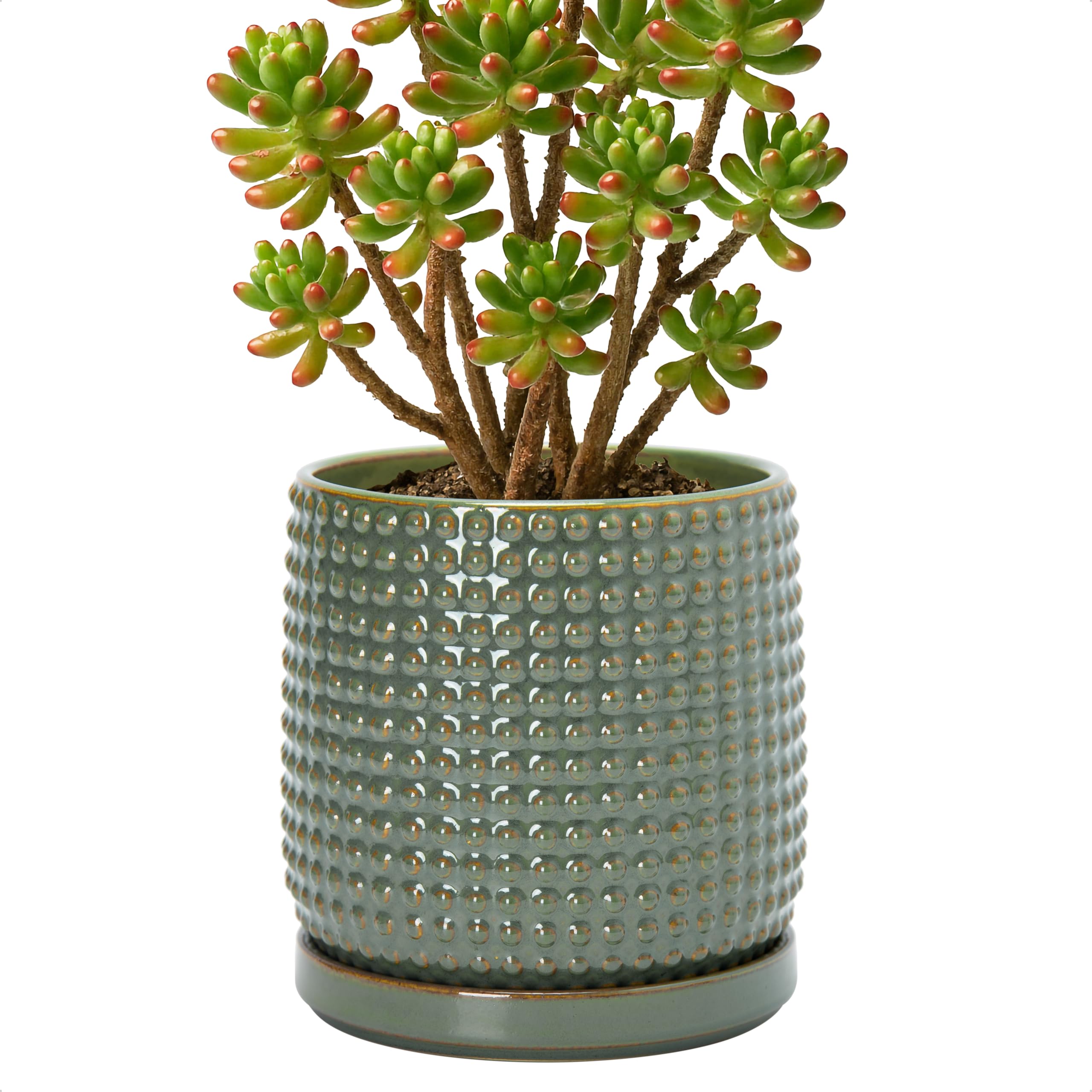 D'vine Dev front view of olive beaded ceramic pot showing elegant shape
