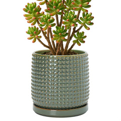 D'vine Dev front view of olive beaded ceramic pot showing elegant shape