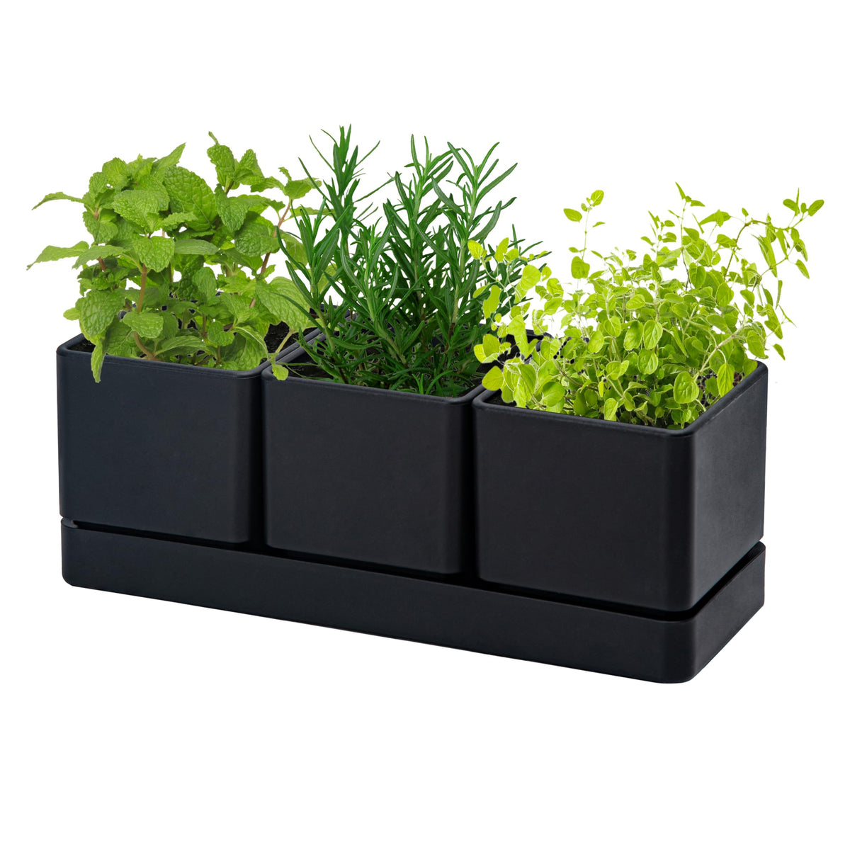 D'vine Dev front view of three-pot planter set showing neat modern design and tidy organization