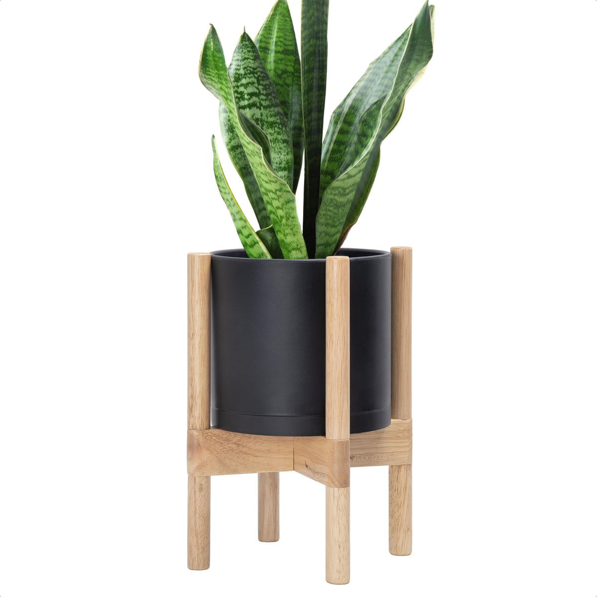 D'vine Dev front view of black planter and wood stand showing modern appeal