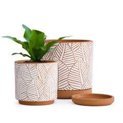 D'vine Dev front view of both terracotta pots showing decorative pattern and balance