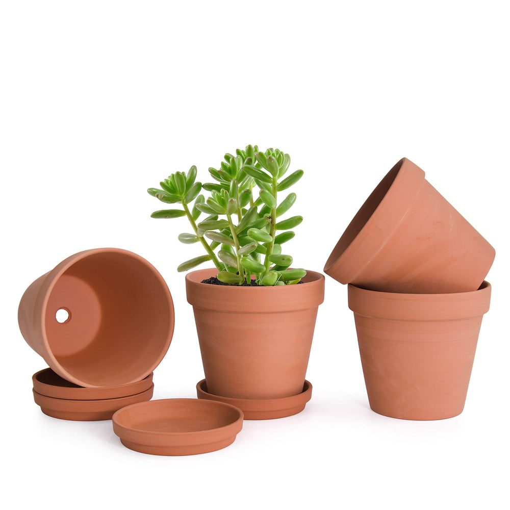 D'vine Dev front view of four terracotta pots showing neat packaging and classic look