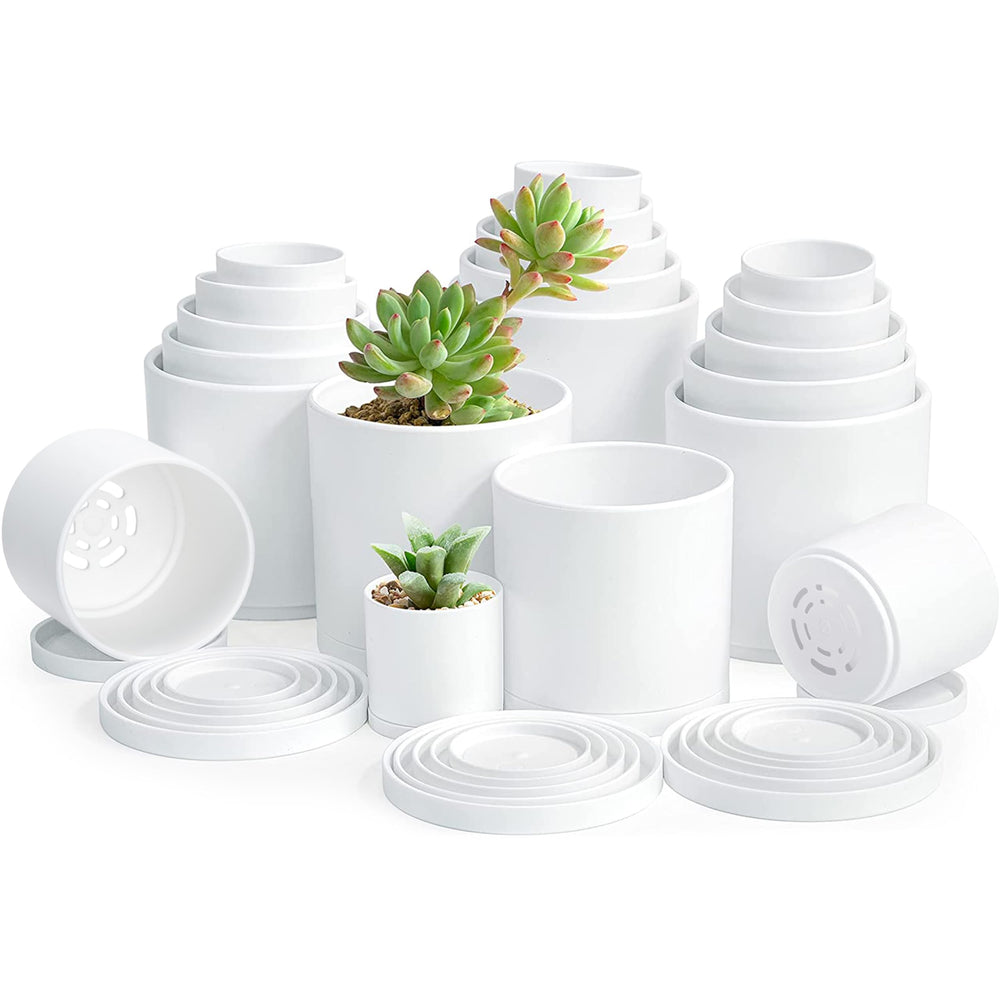 D'vine Dev front view of 20-pack white pots showing organized set and value