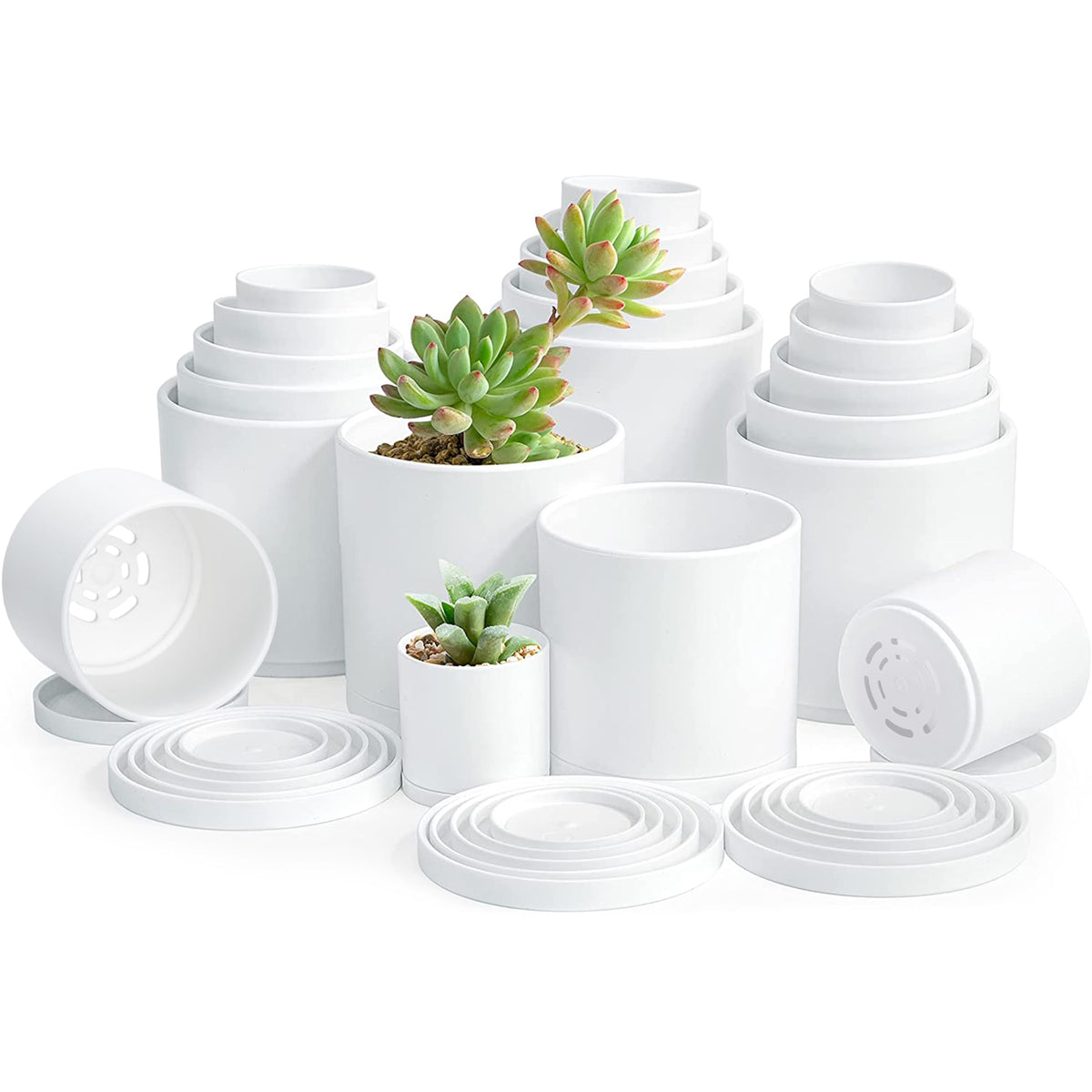 D'vine Dev front view of 20-pack white pots showing organized set and value