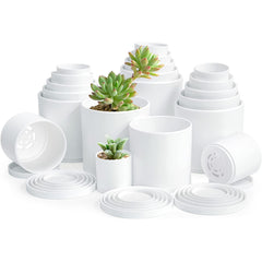 D'vine Dev front view of 20-pack white pots showing organized set and value