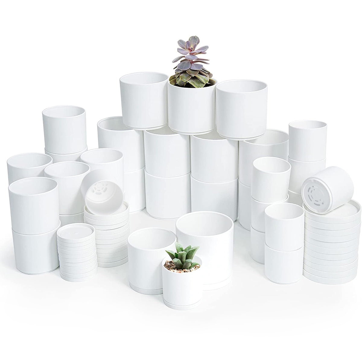 D'vine Dev front view of 36-pack white pots showing modern minimalist benefit