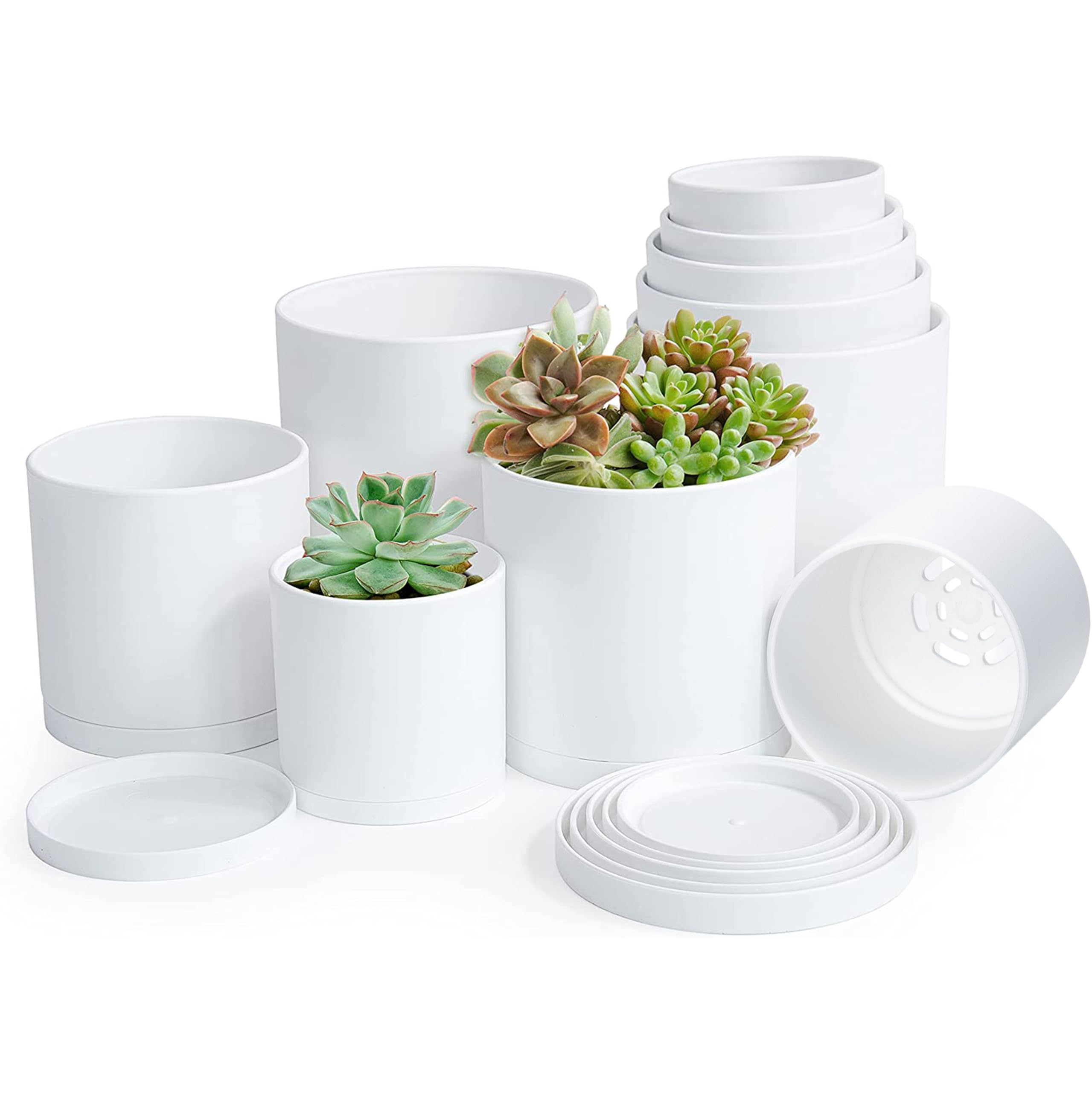 D'vine Dev front view of ten white pots showing uniform minimalist design and benefit of cohesive styling