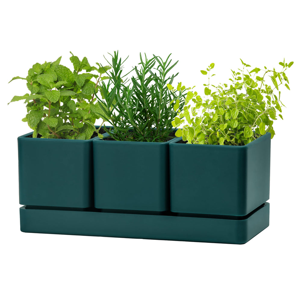 D'vine Dev front view showing three green pots and tray for compact herb gardening