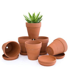 D'vine Dev front view of six terracotta pots showing full set and saucers, organized neatly