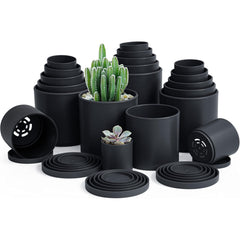 D'vine Dev front view of 20-pack showing mixed sizes and neat arrangement benefit organization