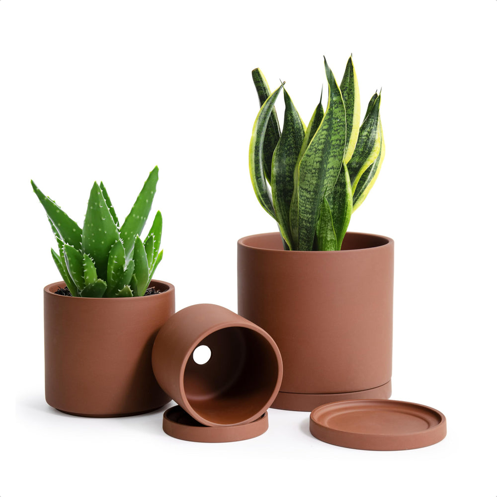 D'vine Dev front view of three rust terracotta pots with saucers showing cohesive set benefit