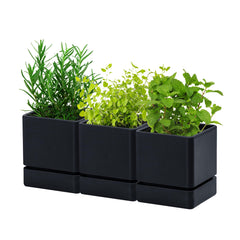 D'vine Dev front view of three black planters showing neat grouping benefit