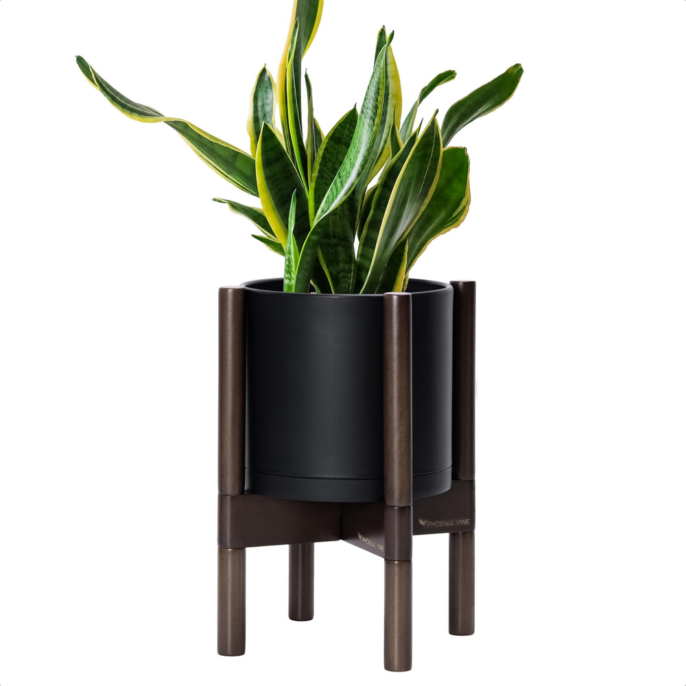 D'vine Dev front view of black pot and walnut stand showing modern balance