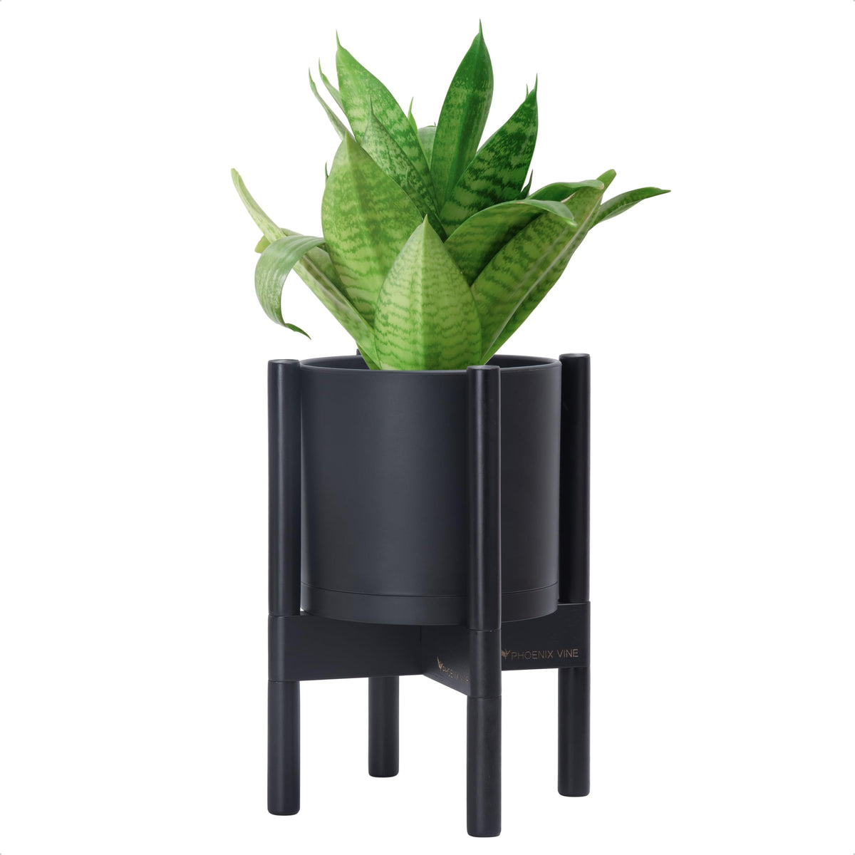 D'vine Dev front view of black pot with ebony stand showing sleek profile and stability