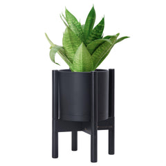 D'vine Dev front view of black pot with ebony stand showing sleek profile and stability