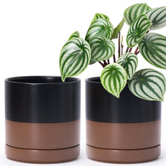 D'vine Dev front view of black and tan planter pair showing modern style and matching display