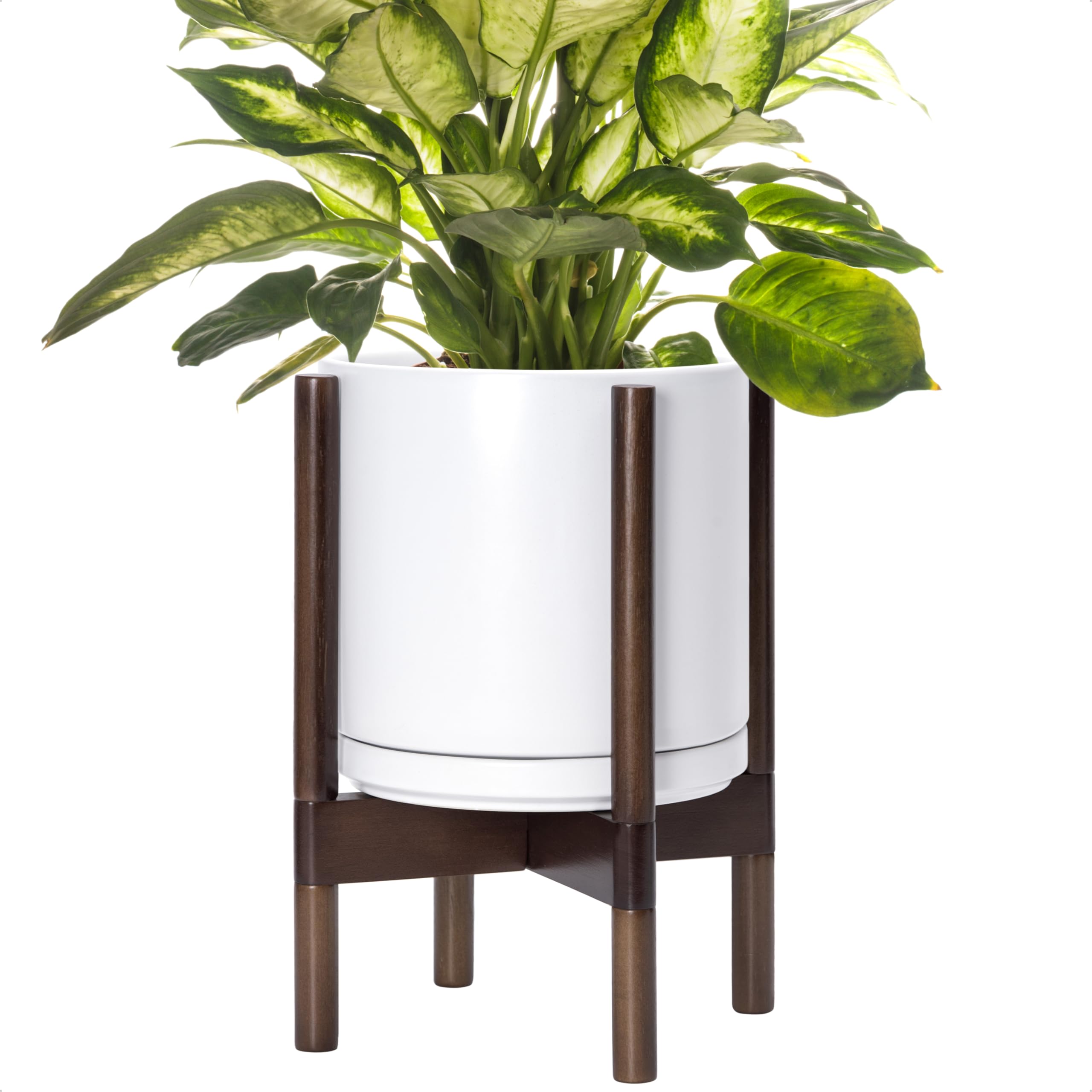 D'vine Dev front view of white ceramic pot and walnut wood stand shows elegant display