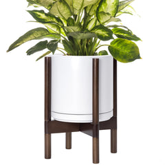 D'vine Dev front view of white ceramic pot and walnut wood stand shows elegant display